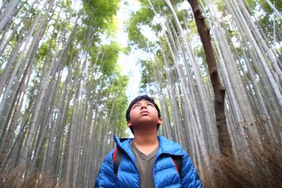 Low angle view of boy looking up in forest