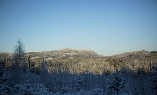 Scenic view of snowcapped mountains against clear blue sky