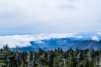 Scenic view of forest and mountains against cloudy sky