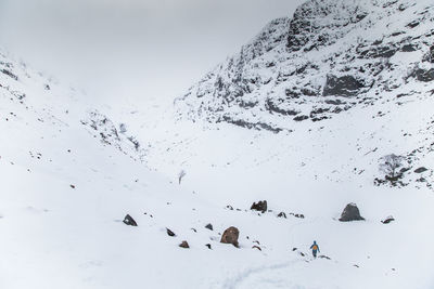 Flock of birds on snow covered mountain