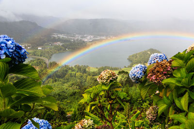 Scenic view of rainbow over mountain