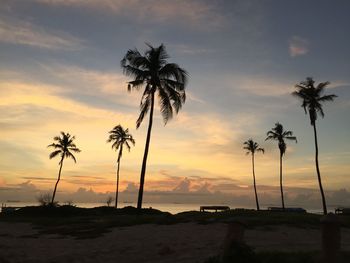 Silhouette palm trees on beach against sky at sunset