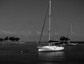 Sailboats moored on sea against sky