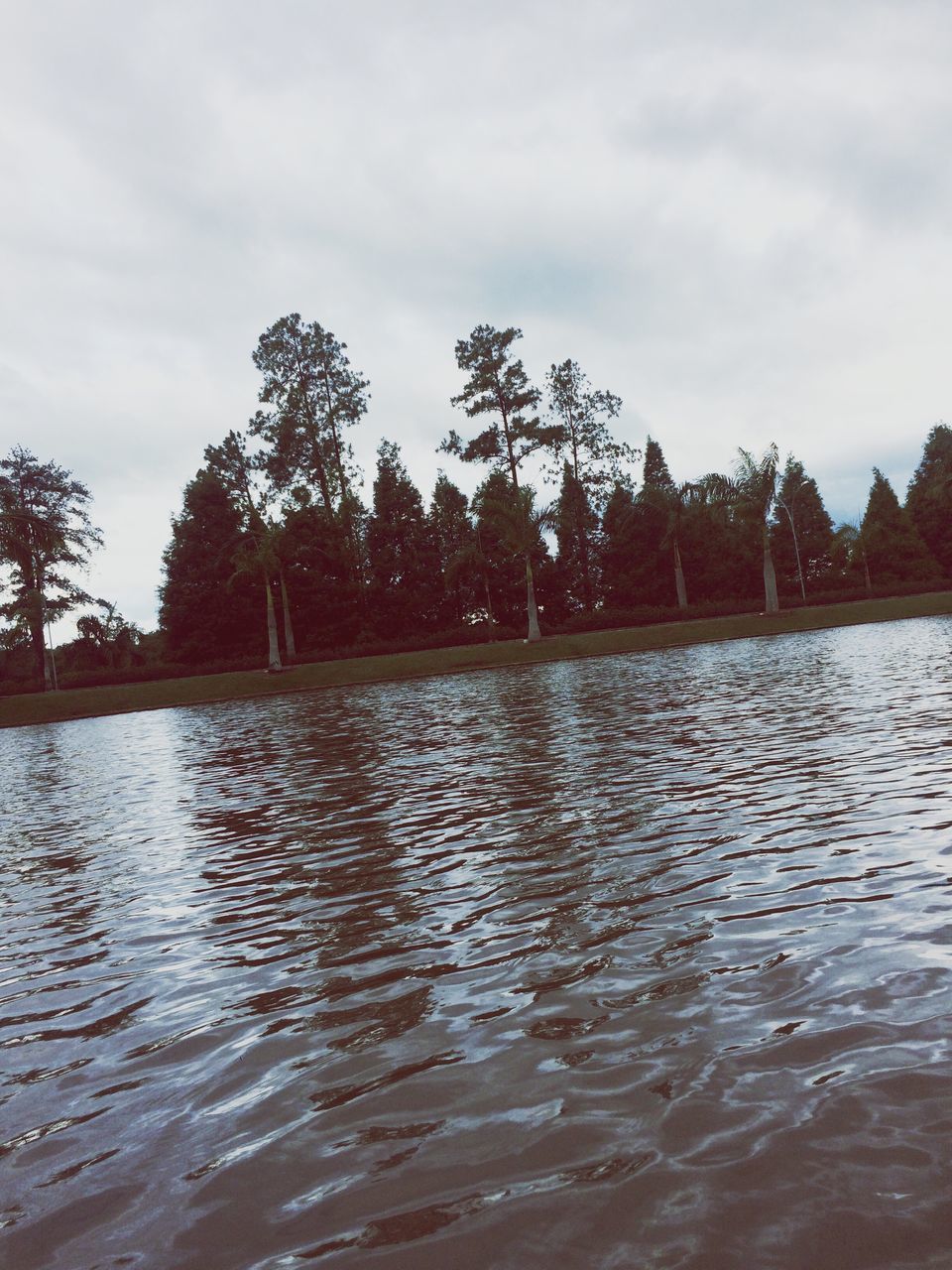 water, tree, sky, tranquil scene, tranquility, lake, scenics, beauty in nature, cloud - sky, waterfront, nature, reflection, rippled, silhouette, cloud, river, idyllic, bare tree, cloudy, outdoors