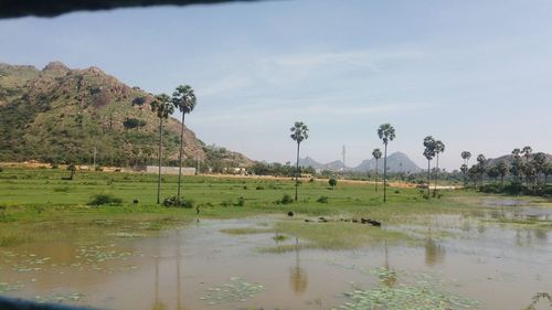 Scenic view of field by lake against sky