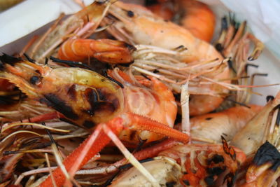 Close-up of seafood