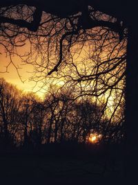 Silhouette bare trees against sky during sunset