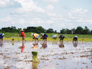Farmers working in agricultural field against sky