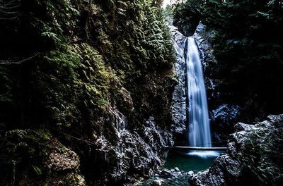 Waterfall in forest