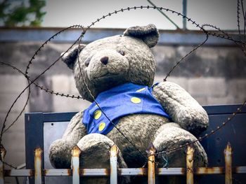 Close-up of animal representation