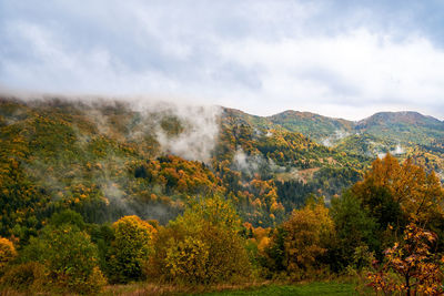 View of trees on mountain against cloudy sky