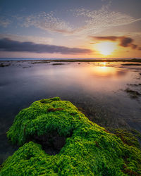 Dramatic sunset sky at ngrumput beach, yogyakarta, indonesia. hdr processed