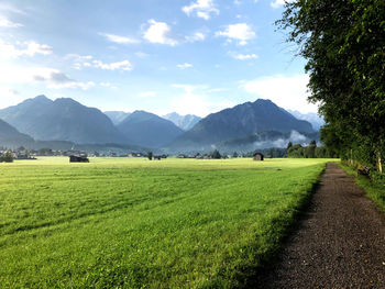 Scenic view of field against sky