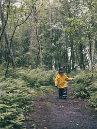 Rear view of woman standing amidst trees in forest