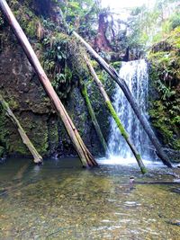 Scenic view of waterfall in forest