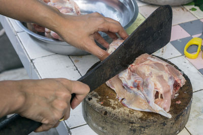 High angle view of hand holding fish