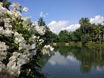 Scenic view of lake against sky