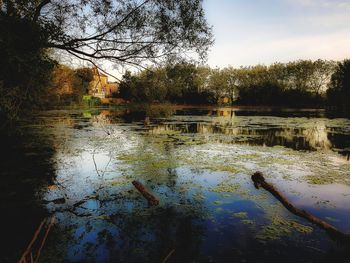 Scenic view of lake in forest against sky