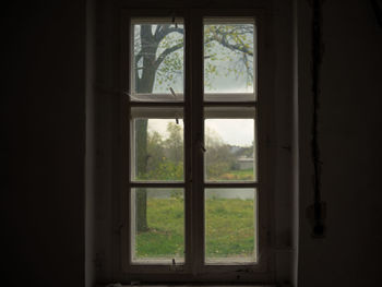 Trees seen through glass window