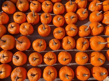 Full frame shot of pumpkins