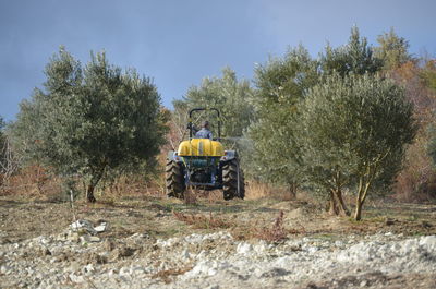 Sprinkle olive trees with medicines on field against sky