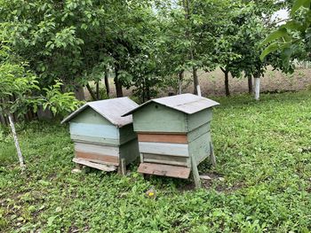 View of an animal on grassy field
