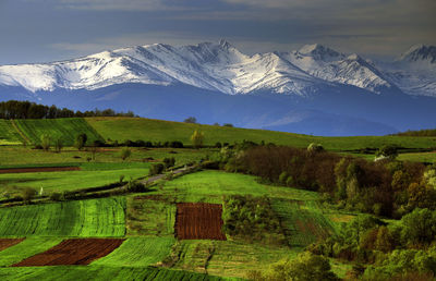 Scenic view of field and mountains against sky