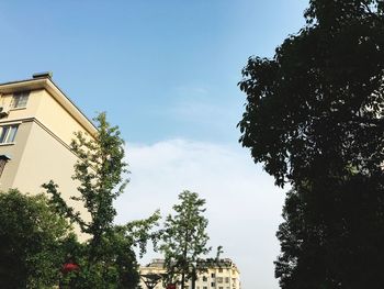 low angle view