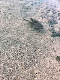 High angle view of water