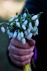 Midsection of person holding white flowers while standing outdoors