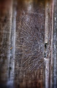 Full frame shot of wood