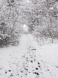 Scenic view of snow covered land