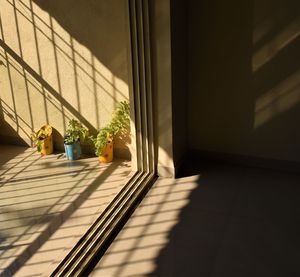 Potted plant by window in building