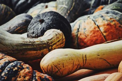 Close-up of squashes for sale