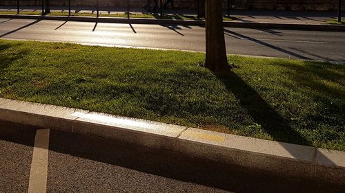 Shadow on grass