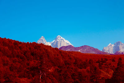 Scenic view of snowcapped mountains against clear blue sky