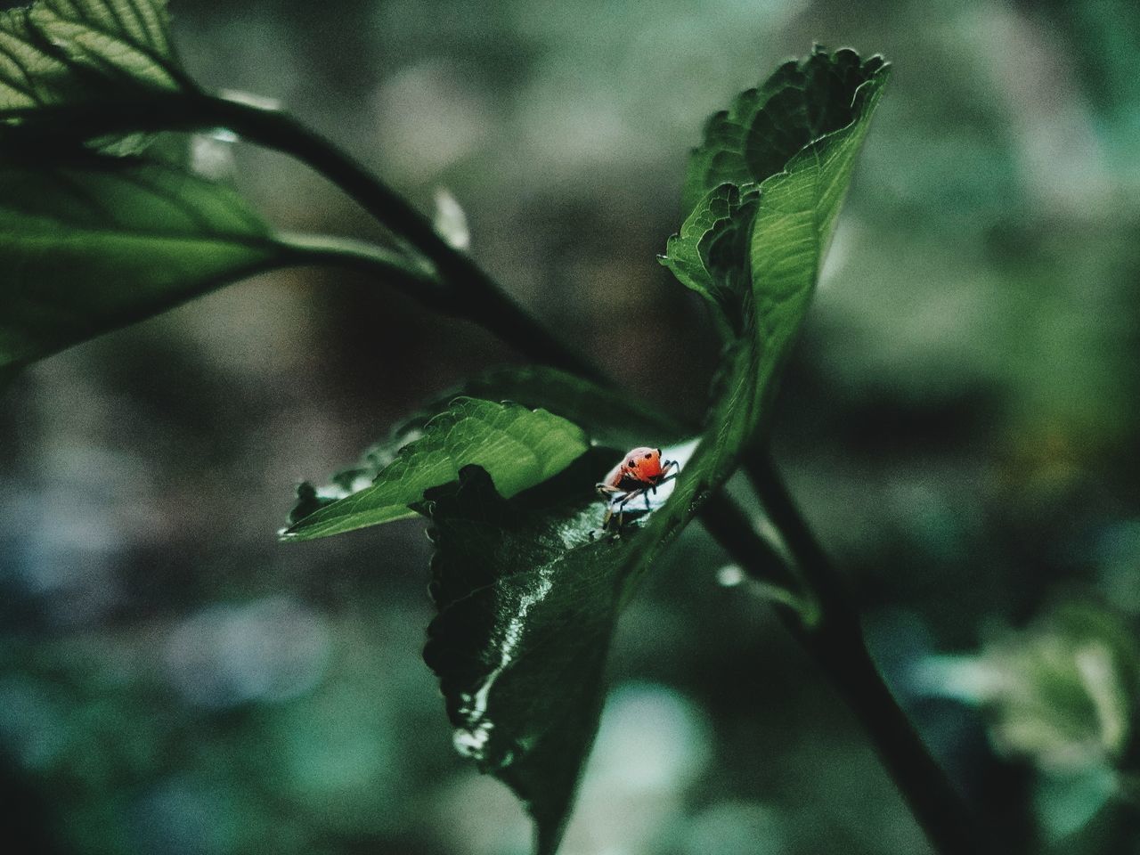 APW_Photos