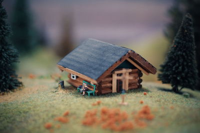 Close-up of toy on field against buildings