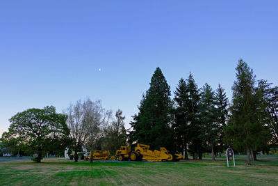 Trees on field against clear blue sky