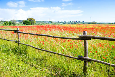 Fence on field against sky