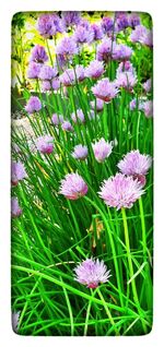 Close-up of purple flowers blooming in field