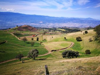 Scenic view of agricultural landscape against sky