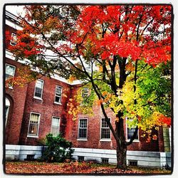 Low angle view of building with trees in background