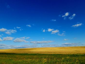 Scenic view of field against blue sky