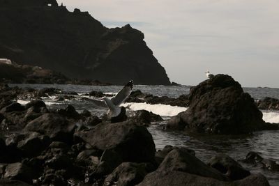 Rocks on beach against sky