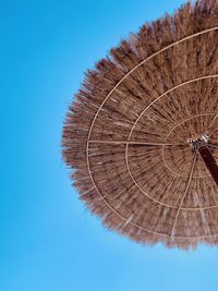 Low angle view of a tree against clear blue sky