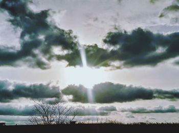 Low angle view of sunlight streaming through trees