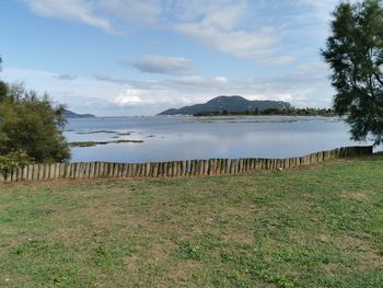 Scenic view of field against sky