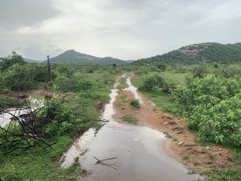 Scenic view of landscape against sky