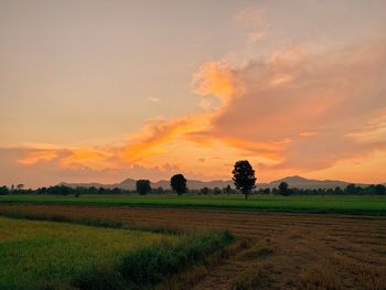 Scenic view of field against sky during sunset